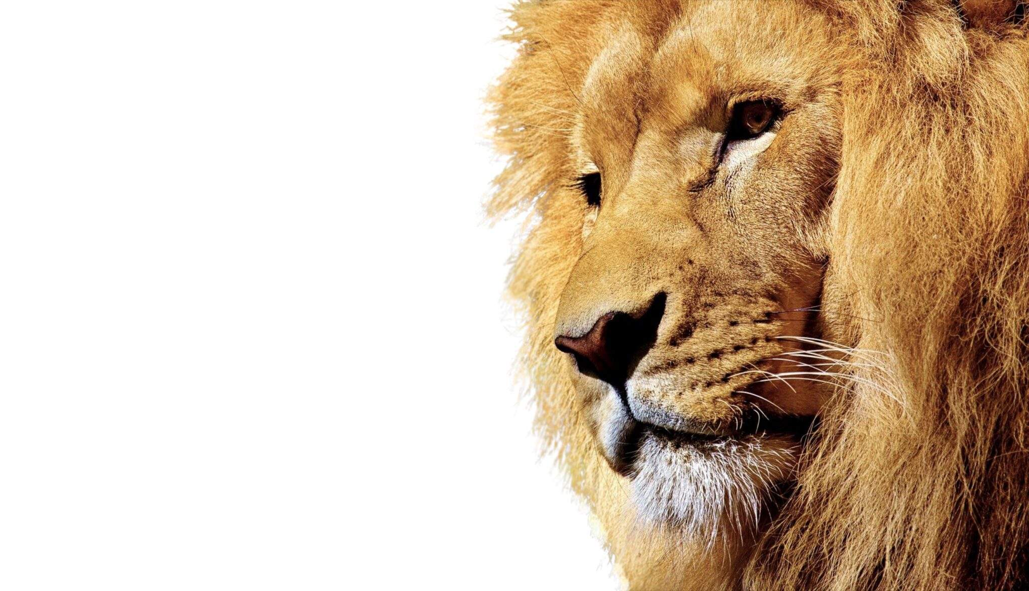 Motivate, Unleash the Beast Inside