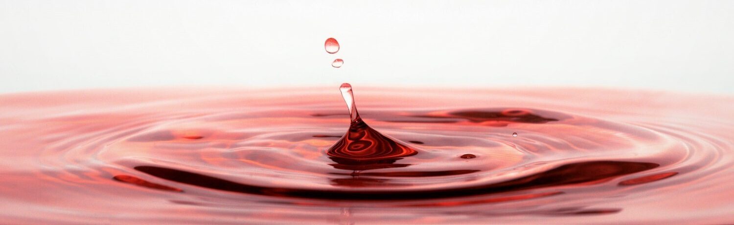 blood sweat and tears to be persistent in life