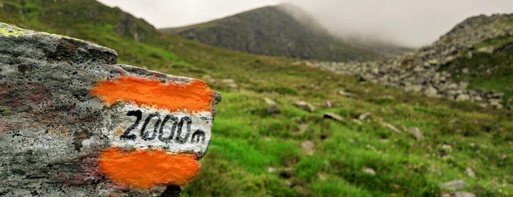 set your milestones for success