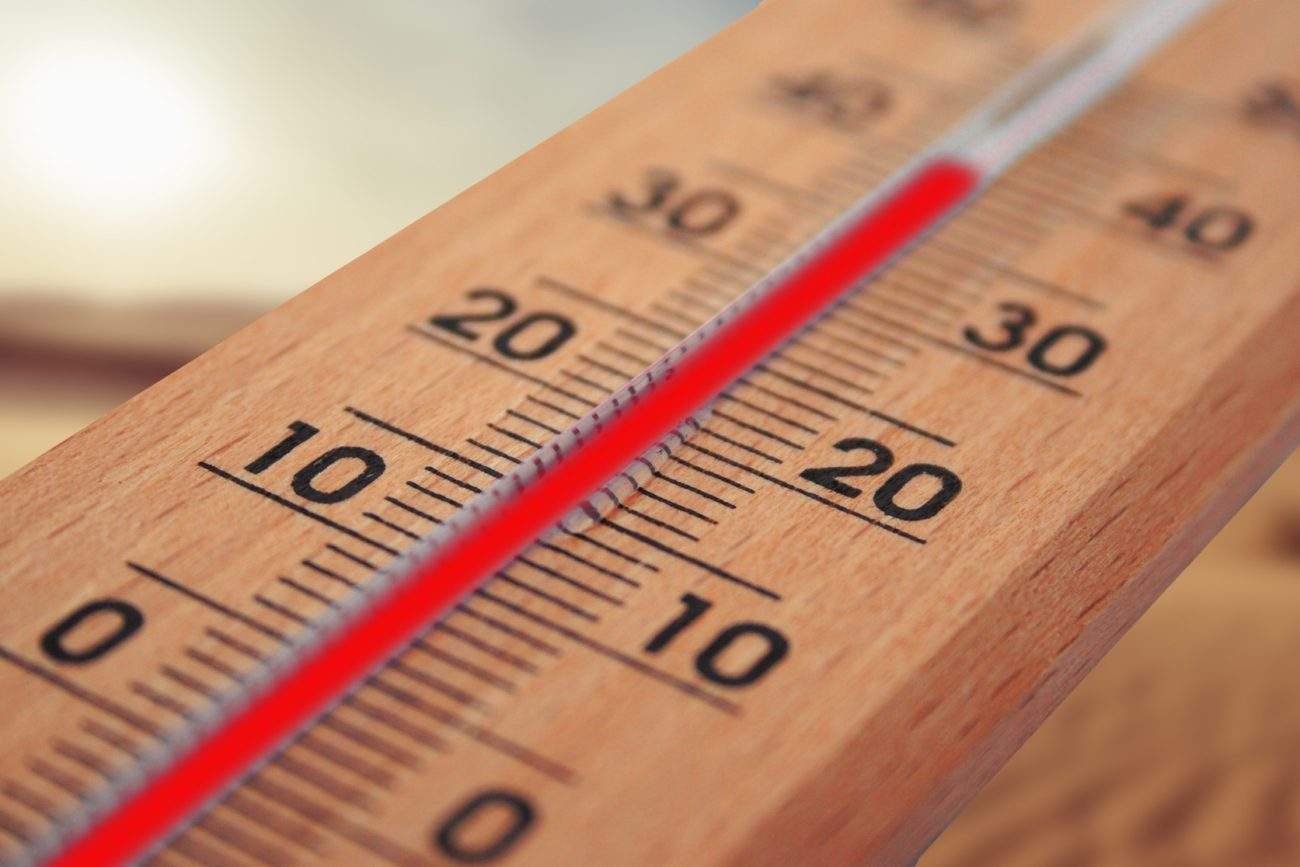 Nikon Temperature Test